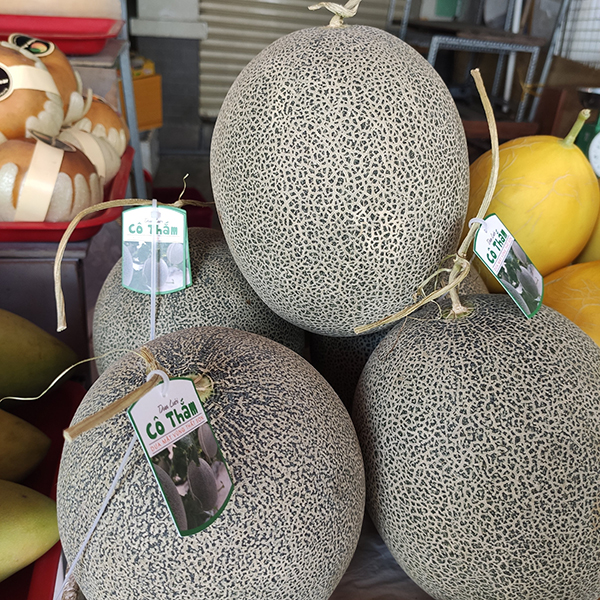 Dưa lưới xanh Nhật